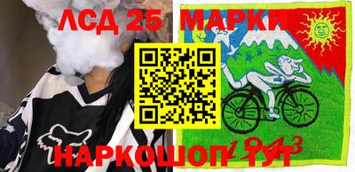 гашик Дмитров