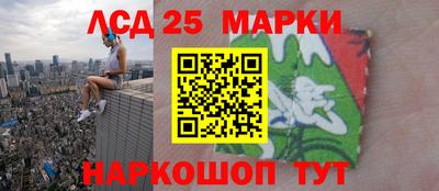 гашик Дмитров