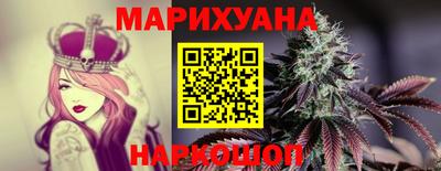гашик Дмитров