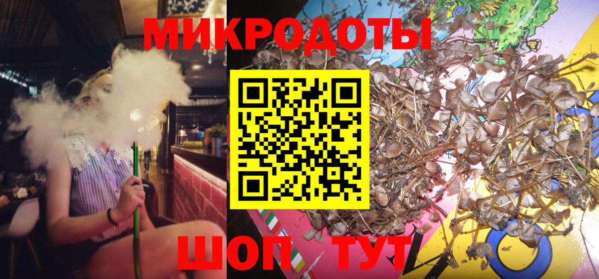 Псилоцибиновые грибы мухоморы Михайловка