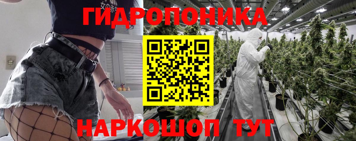 Марихуана ГИДРОПОН  Канабис Ganja  Михайловка  Вход с VPN  Марихуана LSD WEED  Бошки Шишки планчик 
